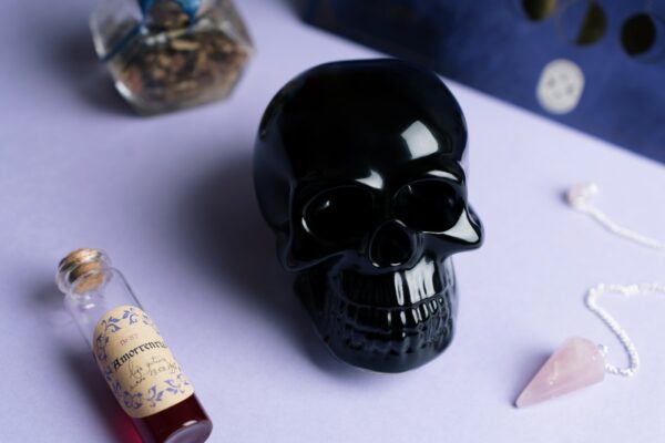 Tête de mort en résine – Image 2