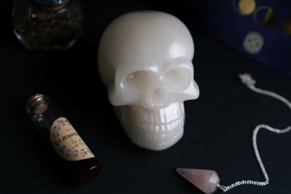 Tête de mort en résine – Image 3